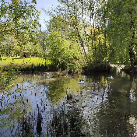 De Couleurs Et D'eau Fraiche Bed & Breakfast Navarrenx