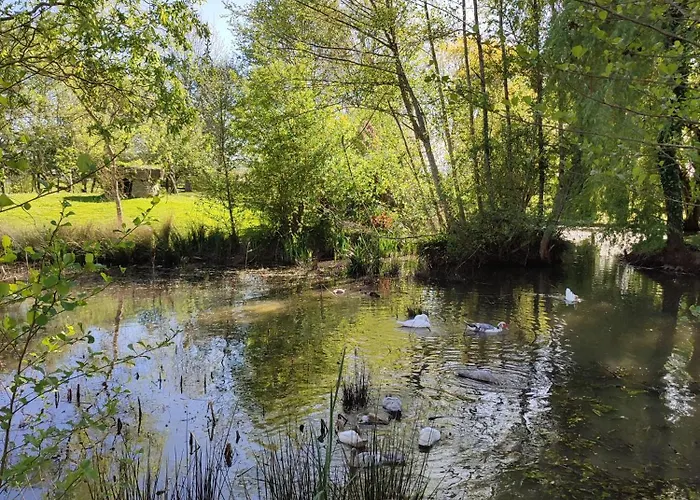 De Couleurs Et D'eau Fraiche Bed & Breakfast Navarrenx